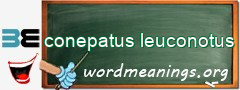 WordMeaning blackboard for conepatus leuconotus